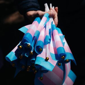Transgender Issues are a Strength for Trump, AP-NORC Poll Finds