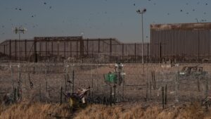 DHS Asks for 20,000 National Guard Troops for Immigration Roundups, Pentagon Reviewing Request